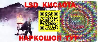 прущие грибы Шебекино