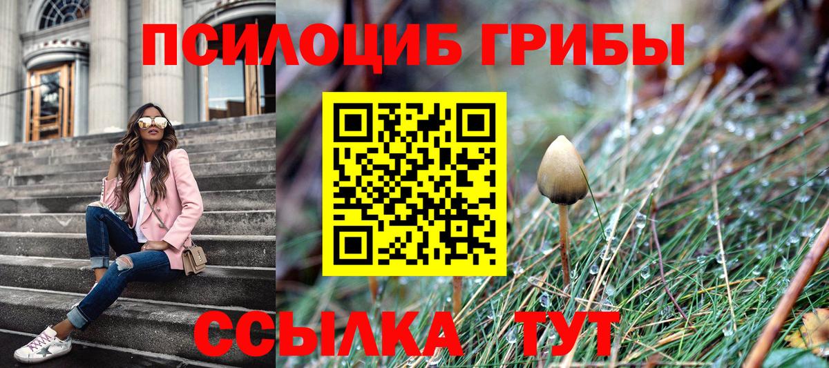 Псилоцибиновые грибы мицелий Прохладный